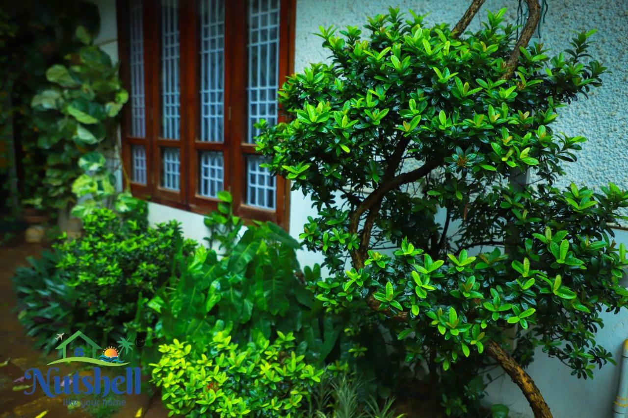 Appartamento Nutshell-Airport Retreat By The Sea Thiruvananthapuram Esterno foto