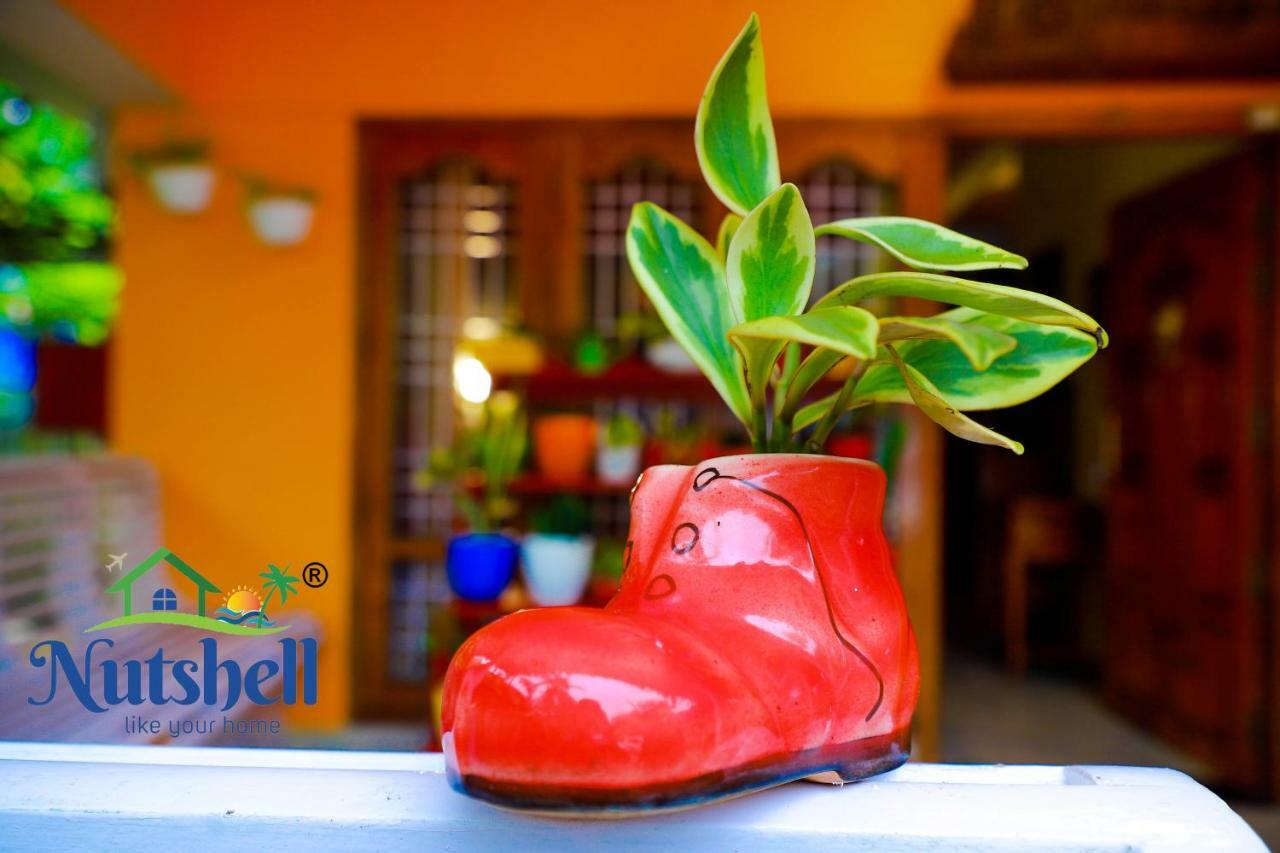 Appartamento Nutshell-Airport Retreat By The Sea Thiruvananthapuram Esterno foto
